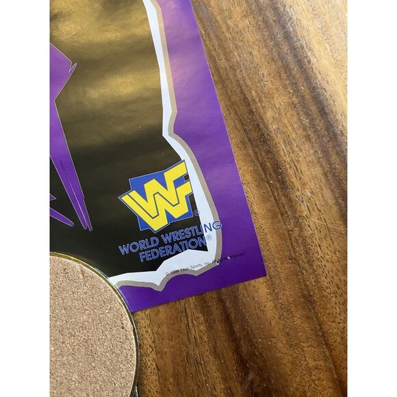 The Undertaker Vintage WWF Wrestling Poster 16" x 20" NEW / Sealed - Picture 3 of 9